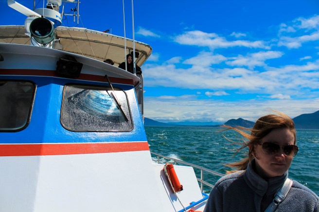 Whale Watching - San Juan Islands
