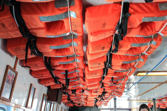 Whale Watching - San Juan Islands