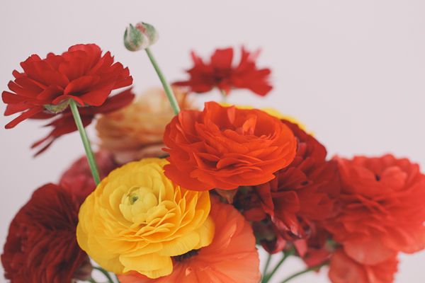 Reds & Oranges | Yea Yea Pueblo