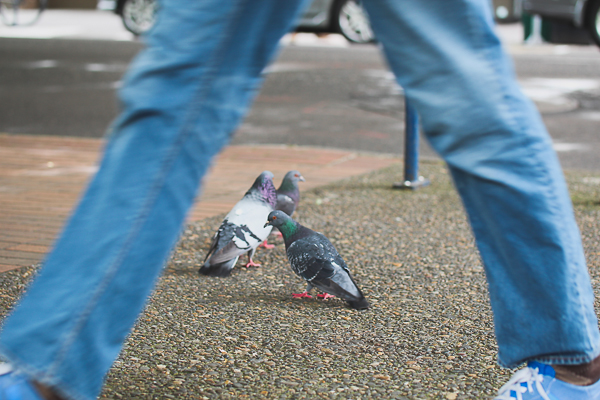 Portland, OR | Yea Yea Pueblo