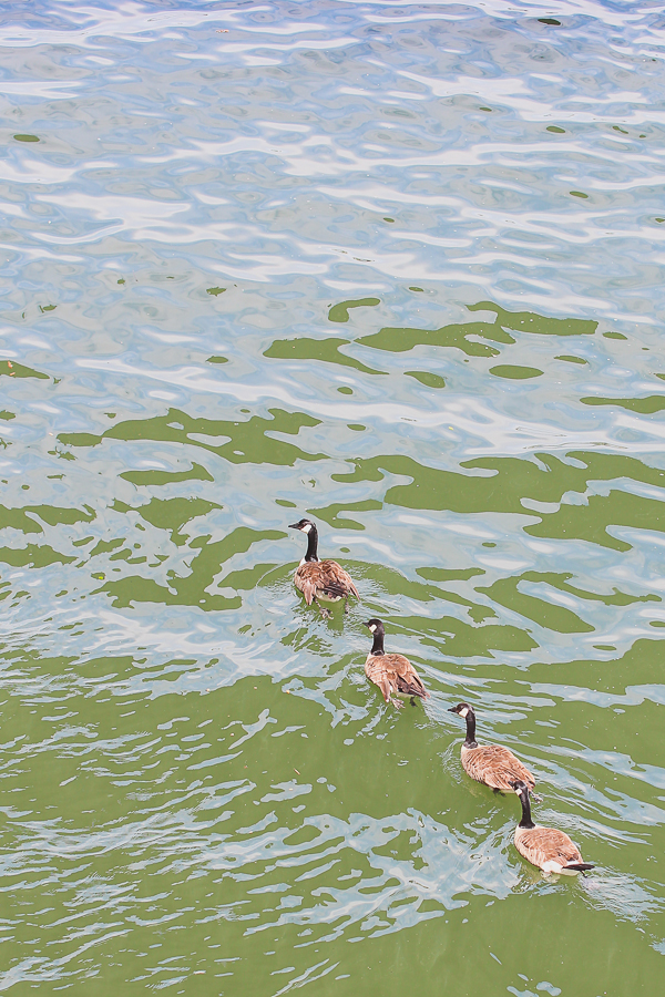 Portland, OR | Yea Yea Pueblo