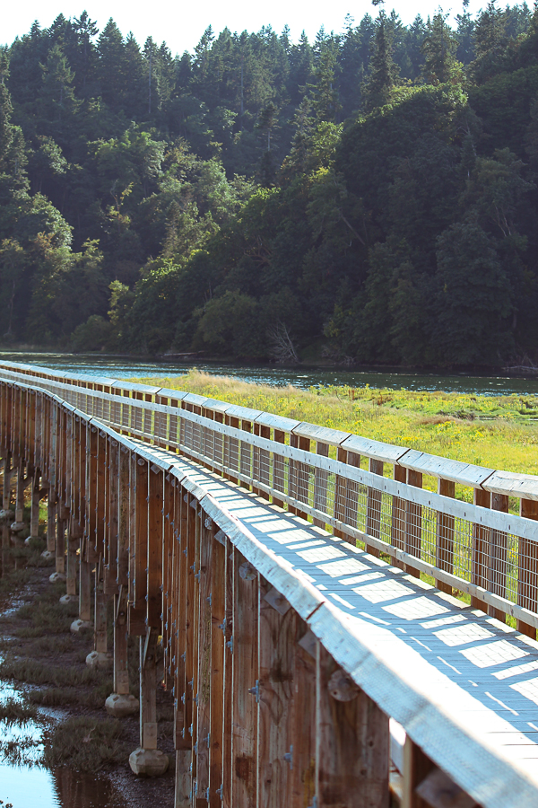 Nisqually Wildlife Refuge | Yea Yea Pueblo