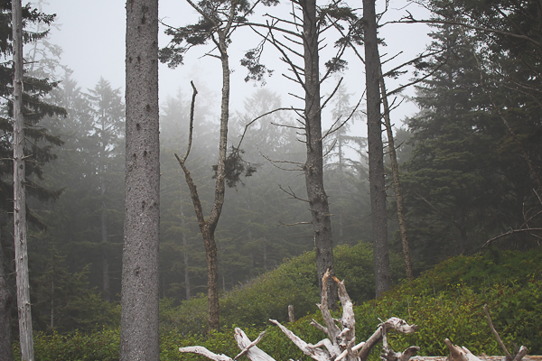Ruby Beach, WA | Yea Yea Pueblo