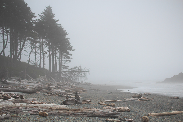 Ruby Beach, WA | Yea Yea Pueblo