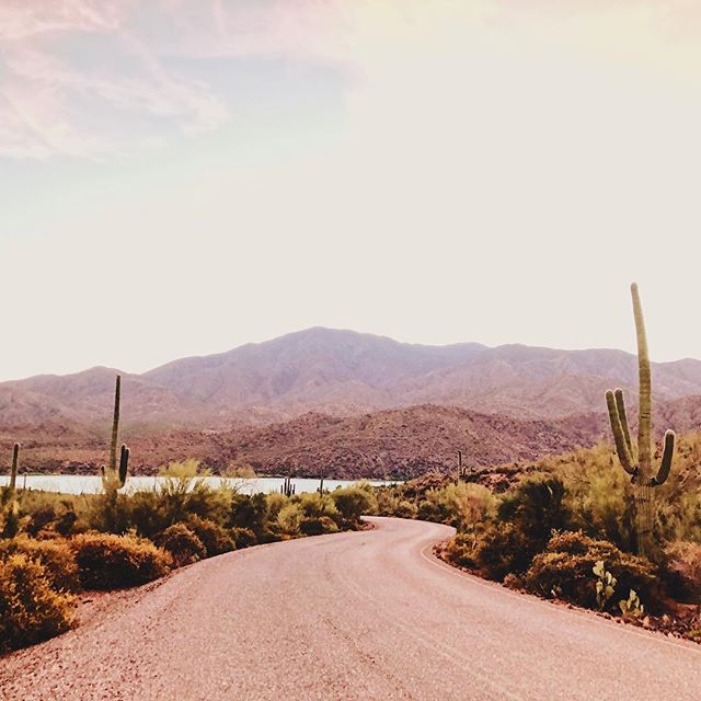 36932782_184342325765214_2517812740626579456_n